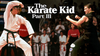 Karate Kid III (1989)