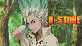 Dr. Stone (2021)