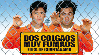 Dos tontos en fuga (2008)