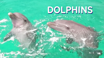 Delfines en 3D (2013)