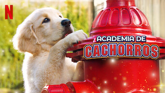 Escuela de cachorros (2020)